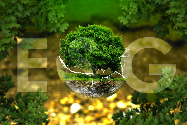 ESG: cosa dovrebbero essere e cosa non sono (parte 2)